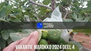 vakantie Marokko 2024 deel 4 [upl. by Iyre]