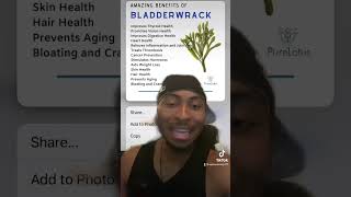 Benefits Of Bladderwrack 😏🌿✨ [upl. by Slotnick]