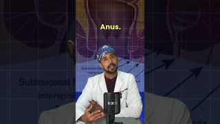 Piles vs Fistula Explained amp Treated Dr Arpit Bansal [upl. by Gnehc]