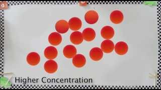 Factors Affecting Speed of Reaction [upl. by Nicholas]