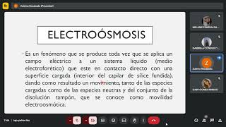 Q analítica 121024 Electroforesis capilar [upl. by Dewar]