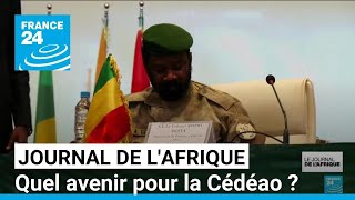 Nouvelle Confédération des Etats du Sahel  une passerelle avec la Cédéao estelle possible [upl. by Rose630]