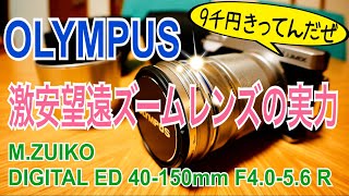 激安！望遠ズームレンズ MZUIKO DIGITAL ED 40150mm F4056 R買ってみた【OLYMPUS】 [upl. by Lucretia]