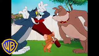 Tom amp Jerry  Best Buddies 🐭🐱🐶  Classic Cartoon Compilation  WB Kids [upl. by Eissed]