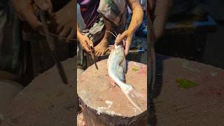 Amazing Huge Ayer Fish Cutting Skills In Bangladesh Fish Market 2shorts [upl. by Enihpesoj]