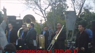 BANDA Y TAMBORAZO quot LA COYOTADA quot [upl. by Greff170]