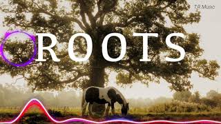 Roots remix song  Bintu Pabra  TR Music [upl. by Arezzini]