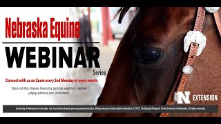 Equine Genetic Diseases [upl. by Hussar]