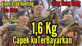 Wow Jumbo Berburu Kepiting di HongKong  Kondisi Hong Kong Terkini [upl. by Edyaw]