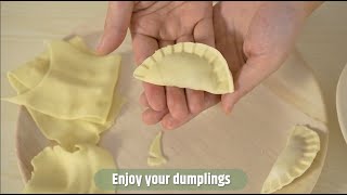 Razorri Electric Pasta Maker to Make Dumpling Wrapper [upl. by Bonn]