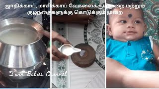 ஜாதிக்காய் Nutmeg மாசிக்காய்  Gallnut  குழந்தைகளுக்கு கொடுக்கும் முறை [upl. by Lletnahs571]