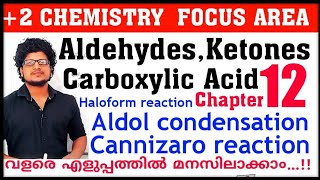 Cannizaro reaction  Aldol condensation  Haloform  Focus area plus two chemistry chapter 12 [upl. by Emlin]