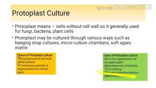 Organ Culture  Protoplast Culture  Plant Tissue Culture [upl. by Darya]