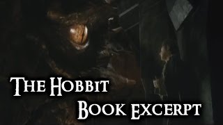 The Hobbit Book Excerpt Smaug Finds Bilbo [upl. by Alleciram]