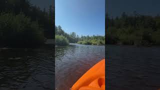 Video of Lower Falls Campground — Tahquamenon Falls State Park MI from Wailym C [upl. by Behrens855]