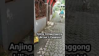 Anjing menggonggong Lilis pun tipaparetot cho2lchannel komedisunda [upl. by Malchy]