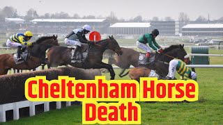 Cheltenham Horse Deaths A Heartfelt Tribute [upl. by Cornelle]