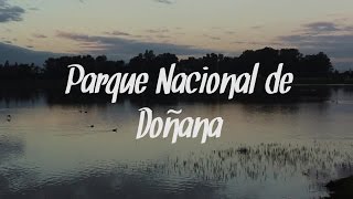 Ökologie Parque Nacional de Doñana [upl. by Remus810]