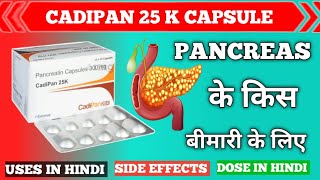 Pancreatin Tablet In Hindi  Cadipan Tablet Uses Doses  Side Effects  PHARMACYTREEsangam [upl. by Kimura]