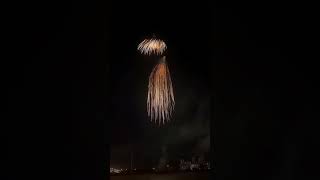 Good shell Gold waterfall wtail display shell fuerwerkbestfireworksfireworksvuurwerkpyro [upl. by Doone]