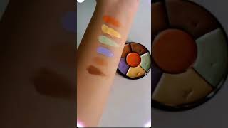 Concealer palette 🎨 6 shades makeup fashion lifestyle trending [upl. by Peta577]