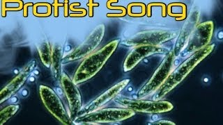 Protist Song [upl. by Hakym911]