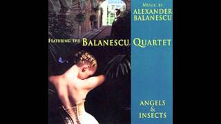 Alexander Balanescu  Balanescu Quartet  Butterflies [upl. by Enilreug220]