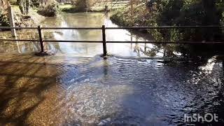 Bison Hill Wellhead spring and Edlesborough Brooks [upl. by Constantino]