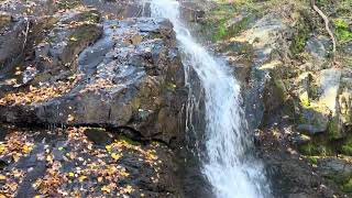 Shenandoah National Park [upl. by Ennaed]