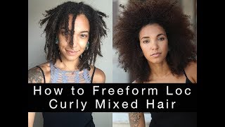 How to Freeform Loc Curly Mixed Hair [upl. by Aubrie419]