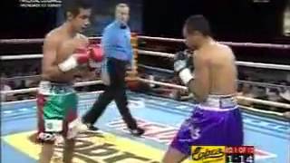 Donnie Nietes vs Moises Fuentes Full Fight 14 [upl. by Aicirpac]