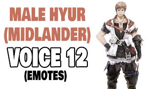 FFXIV Male Hyur Midlander Voice 12 Emotes [upl. by Gnouh]