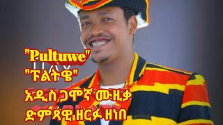 Pultuwe Zerfu Zenebe New Gamogna Music አዲስ ጋሞኛ ሙዚቃ ዘርፉ ዘነበ [upl. by Acinorej]