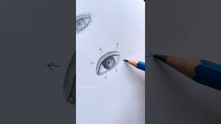 Easiest Eyelashes Drawing Tutorial 👀😱 shorts [upl. by Calore378]