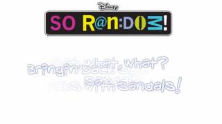 Socks With Sandals Full  So Random LyricsDownload [upl. by Burack95]