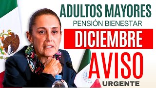 🔔Adultos Mayores La Presidenta da AVISO🔔Pensión y Programas Bienestar🔔 [upl. by Eldwen]