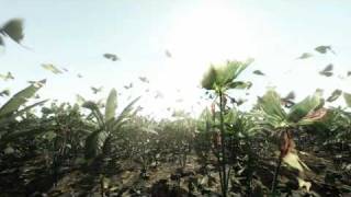 Crysis Butterfly Swarm [upl. by Hall]