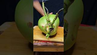 Fresh green young coconut cutting usa style asmr satisfying [upl. by Honorine]