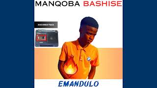 Manqoba Bashise  Emandulo Official Audio [upl. by Pengelly]