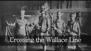 Crossing the Wallace Line  languages genes and a forgotten history [upl. by Ezzo492]