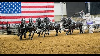 The Great Midwest Horse Fair [upl. by Adyl]