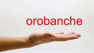 How to Pronounce orobanche  American English [upl. by Andris21]