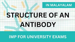 Structure of an Antibody in Malayalam  Learn In [upl. by Delmore]