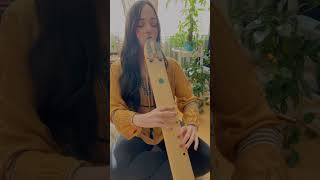 Incredibly relaxing Double Flute [upl. by Lexi]