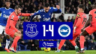 Premier League Highlights Everton 14 Brighton amp Hove Albion [upl. by Novej386]