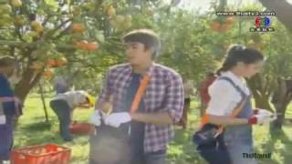 Vietsub Nadech Yaya in Torranee Nee Krai Krong 2012 Tser [upl. by Horacio660]