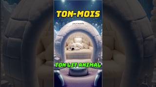 Ton mois ton lit animal tonmois lit chambre yourmonth yourmonthyourth france jeux trending [upl. by Dede]