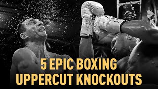 5 Epic Boxing Uppercut Knockouts [upl. by Marte]