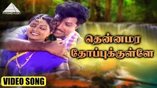 தென்னமர தோப்புக்குள்ளே HD VIDEO SONG  தெற்கு தெரு மச்சான்  சத்தியராஜ்  பானுப்ரியா  தேவா [upl. by Puiia278]