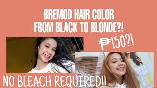 AFFORDABLE HAIR COLOR Bremod Hair Color [upl. by Annaoj]